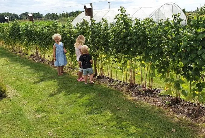 De Weitens Dağ evi *