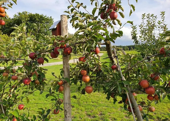 De Weitens Valkenswaard
