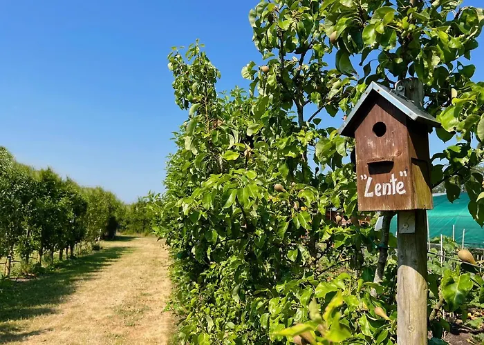 De Weitens * Valkenswaard