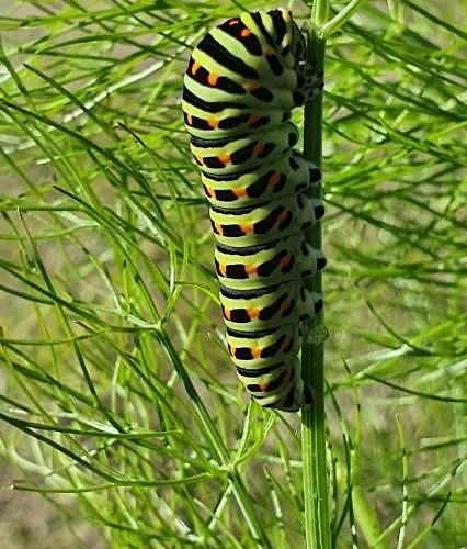 Chalet De Weitens Valkenswaard